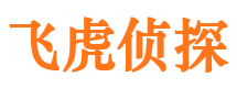 靖安侦探社